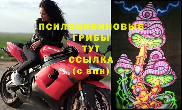 гашик Алзамай