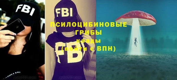ALPHA PVP Алексин
