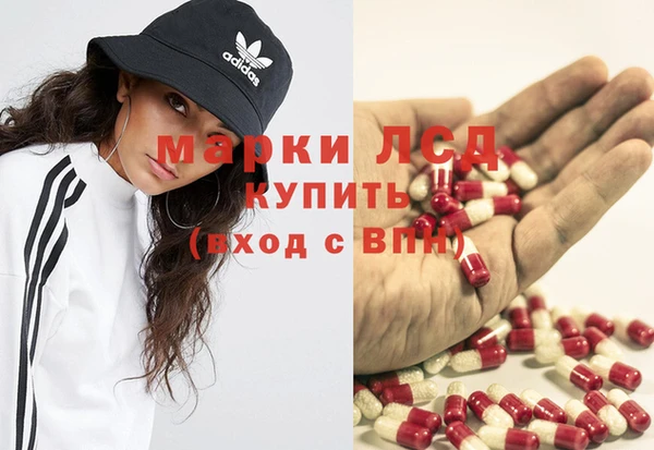 гашик Алзамай