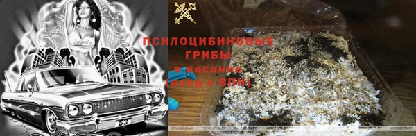 ALPHA PVP Алексин