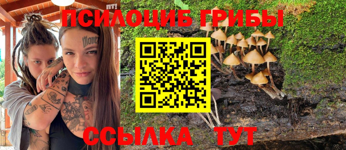 Галлюциногенные грибы ЛСД Мытищи